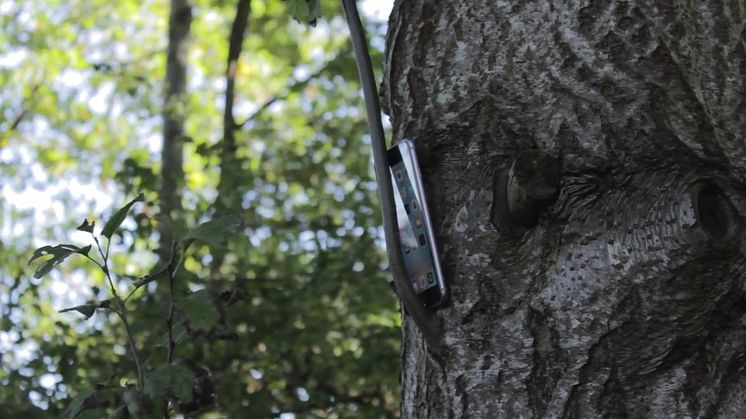 GLAZ Displayschutz geht über den Rand für das iPhone 6 / 6s