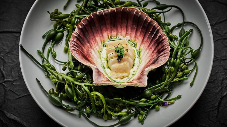 Seafood from Norway