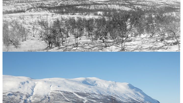 Fjället Nuolja i Abisko i vinterskrud.