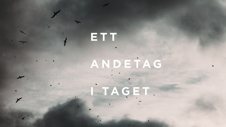 Renaida uppträder med nya singeln "Ett andetag i taget" i TV4:s Tillsammans mot cancer
