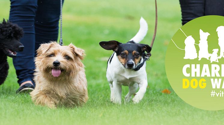 Malmö Charity Dog Walk - för djurfria forskningsmetoder!