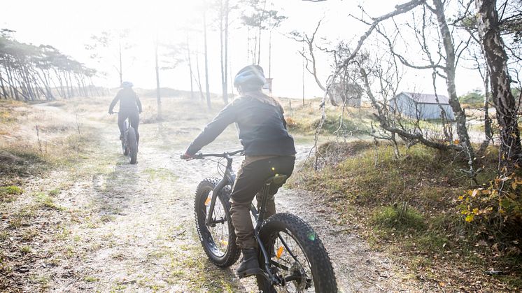 Halland Fatbike Foto Villa Surf garden 1