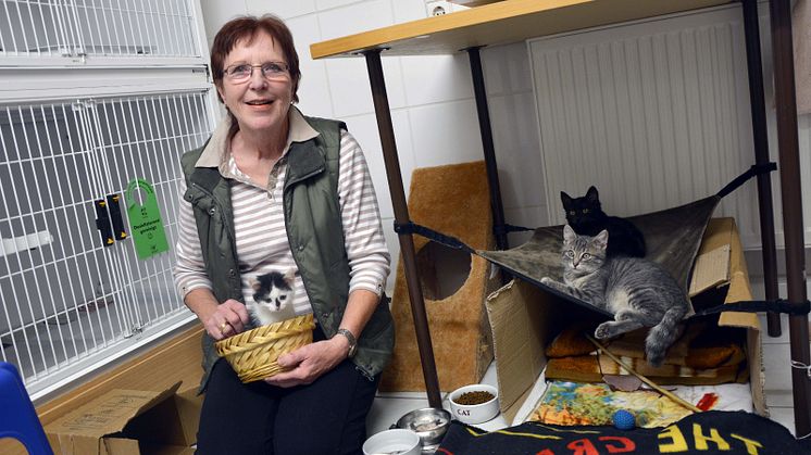 Engagement des Jahres; Wera Schmitz von der Katzenhilfe Karlsruhe