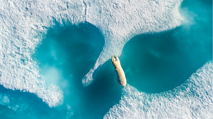 Polar Obsession - Florian Ledoux