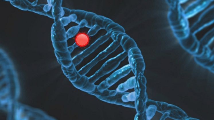 dna-6560897_1280