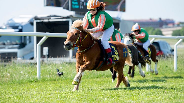 Nationaldagsgaloppen 2019