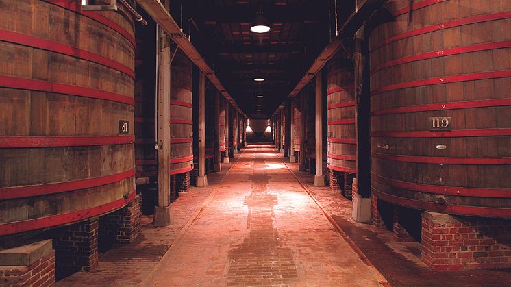 Rodenbach Foederzaal