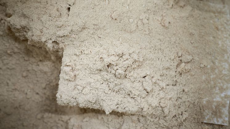 Træ - EK_08359_EmilieKoefoed_web-res