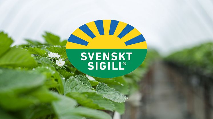 IP Sigill Frukt & Grönt säkrar att maten du får i dig är säker
