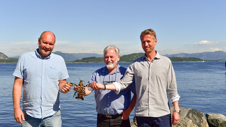 Norwegian Lobsterfarm and Green Mountain