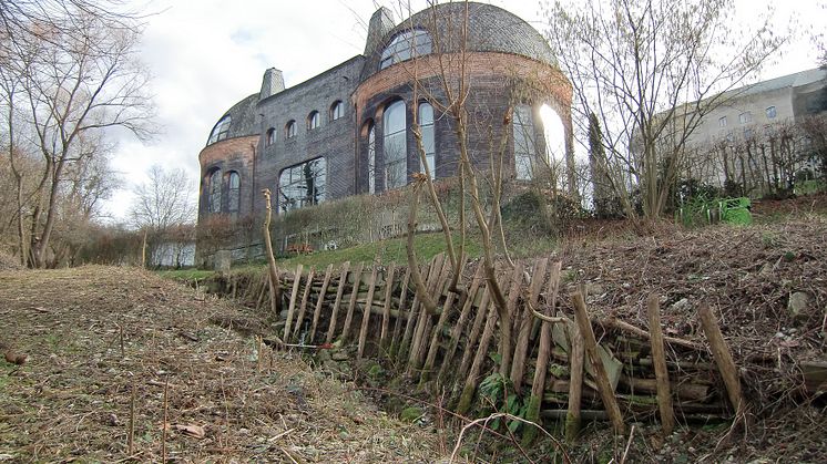 Goetheanum-Park: Einrichten eines Feuchtgebiets