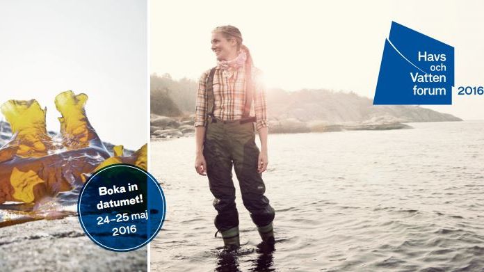 Årets Havs- och vattenforum sätter pengarna i fokus: Satsa på miljön ny lönsam trend?