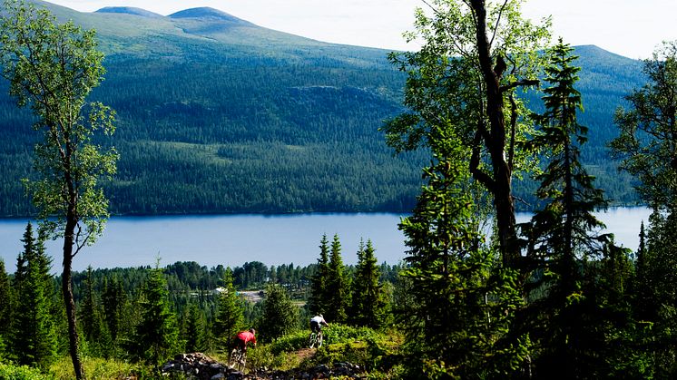 Lofsdalen erbjuder orörda fiskevatten