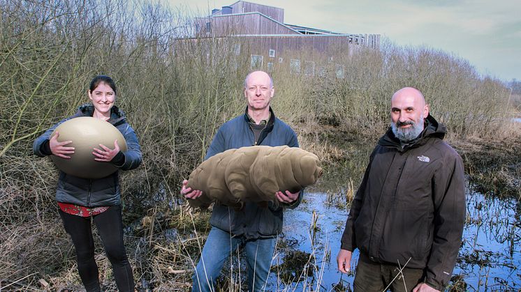 Från vänster: Sarah Atherton från Naturhistoriska Riksmuseet med ett förmodat björndjursägg, Ingemar Jönsson från Högskolan Kristianstad med jättebjörndjuret, och Roberto Guidetti från University of Modena & Reggio Emilia.