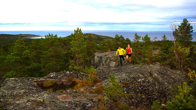 Sverige, och Höga Kusten söker VM i orientering!