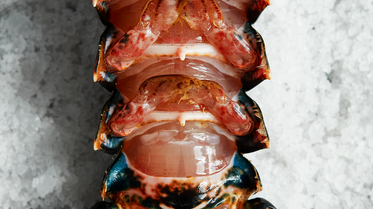 Seafood-Gastro-4
