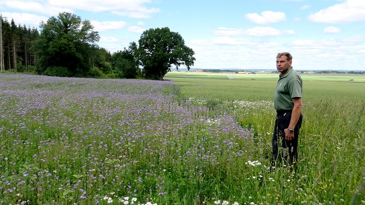 Årets Pollinatör Niclas Malm 