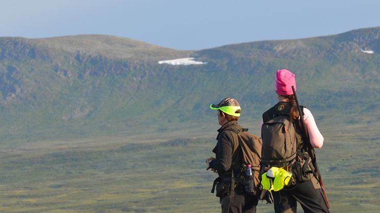 Fjälljakt - Förtur för svenska jägare?