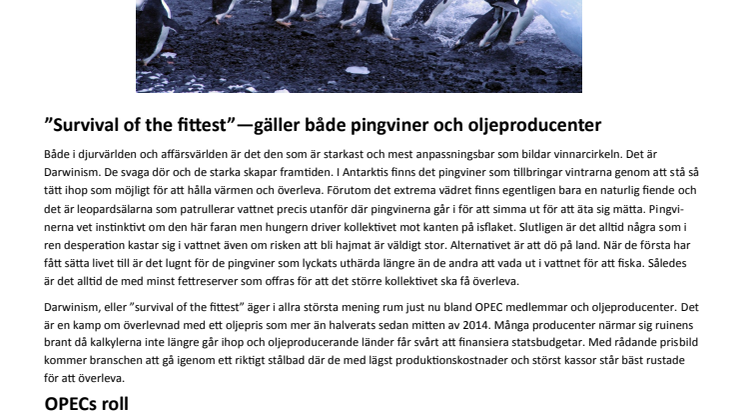 Modity månadsbrev: Oljemarknaden - Survival of the fittest