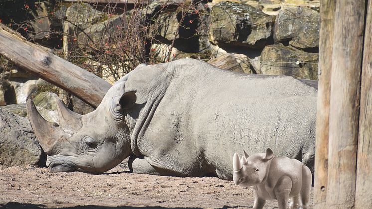 Tierischer Spaß im Allwetterzoo Münster