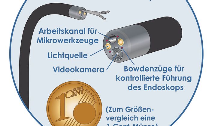 Schematische Darstellung eines Videoendoskops_2018