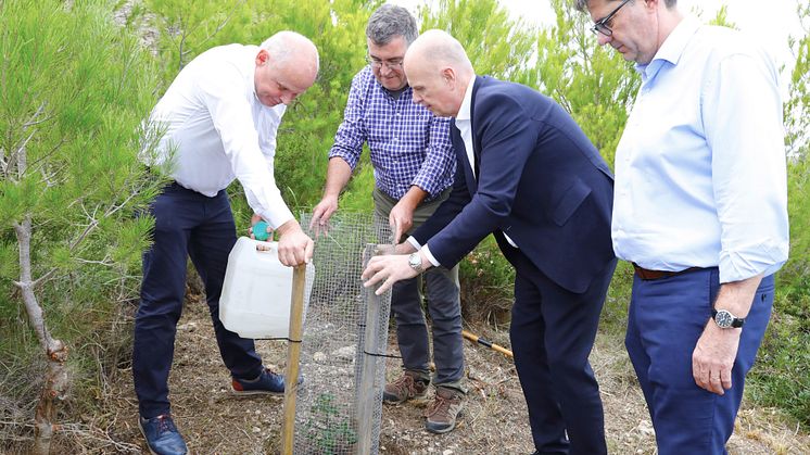 Tree planting_L-R_Sebastian Ebel, Joan Simonet Pons, Thomas Ellerbeck, Jaume Bauzà Mayol
