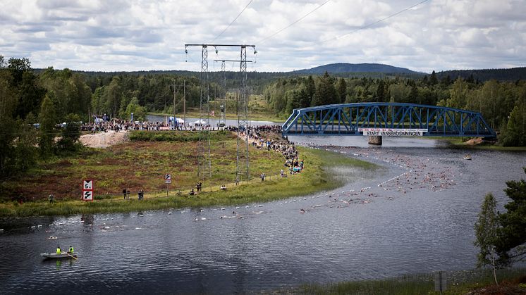 Vansbrosimningen