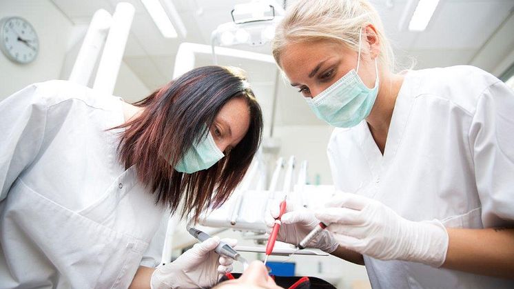 Tandläkarstudenter. Bild från Mostphotos