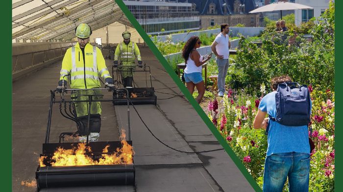 Gröna tak – projektering, anläggning och hållbarhet – ny handbok