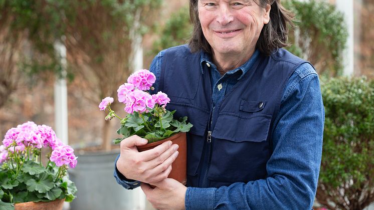 I år är det stilikonen och pelargonälskaren Svante Öquist som presenterar Årets Pelargon. Foto: Blomsterfrämjandet/Anna Clarén