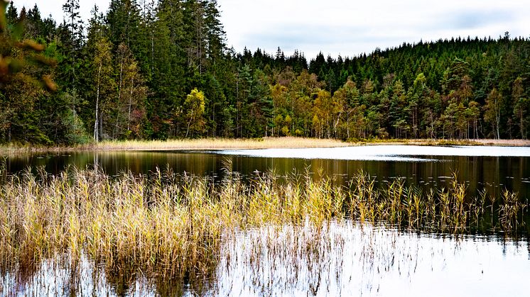 Östdanmarks vandringsled