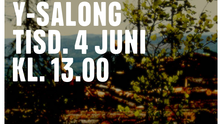 Pressvisning inför 2019 års Y-Salong på Västernorrlands museum