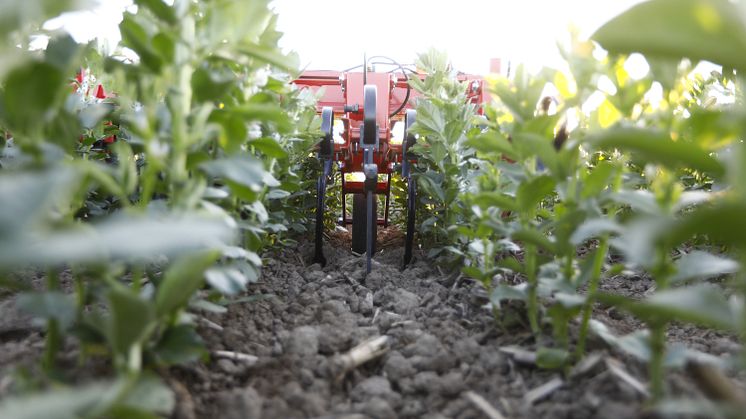 PHOTO: HORSCH