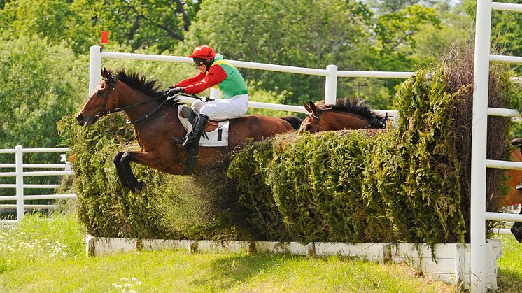 Tysk seger i Svenskt Grand National 