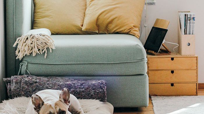 Believe it or not, the inside of your home can be more polluted than outside, thanks to trapped external contaminants, pet hair and dander.