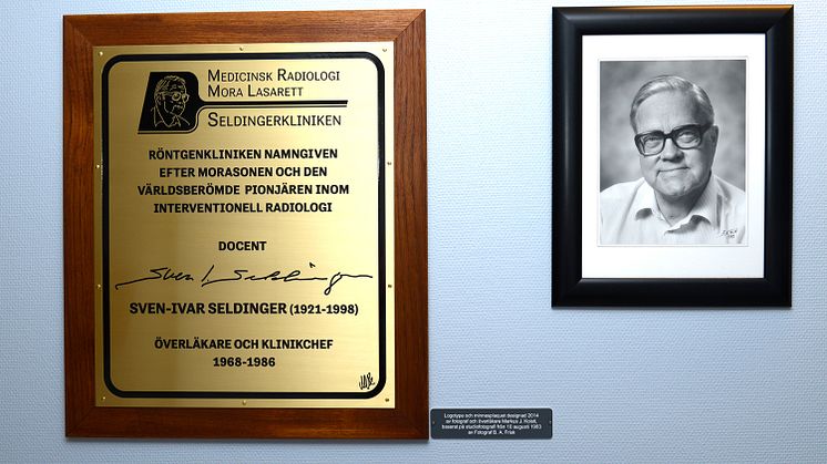 Seldinger utmärkelser