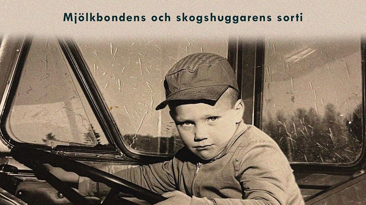 Offerdal 1900-tal hög.jpg
