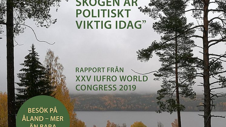 KSLA Nytt & Noterat 3-2019