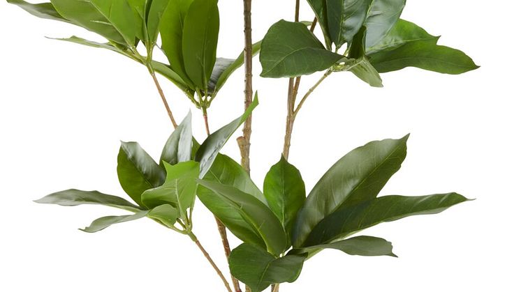 Kunstig plante TRISTAN H90cm (225 DKK).jpg