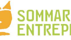 20 sommarlovsentreprenörer i Falun