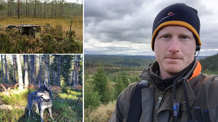 Ta med dig kontoret ut i skogen!