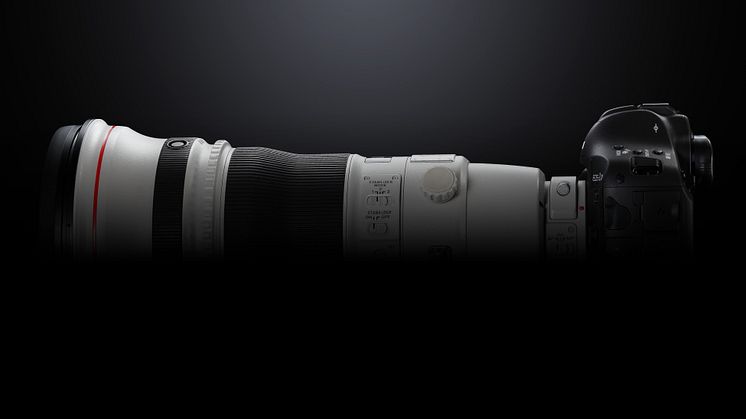 EOS 1DX_MKII EF 400mm F2.8 BK BEAUTY LEFT