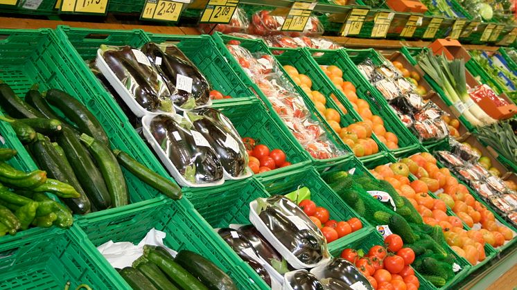 Cut price supermarkets bring down the cost of self-catering holidays in the eurozone this summer 