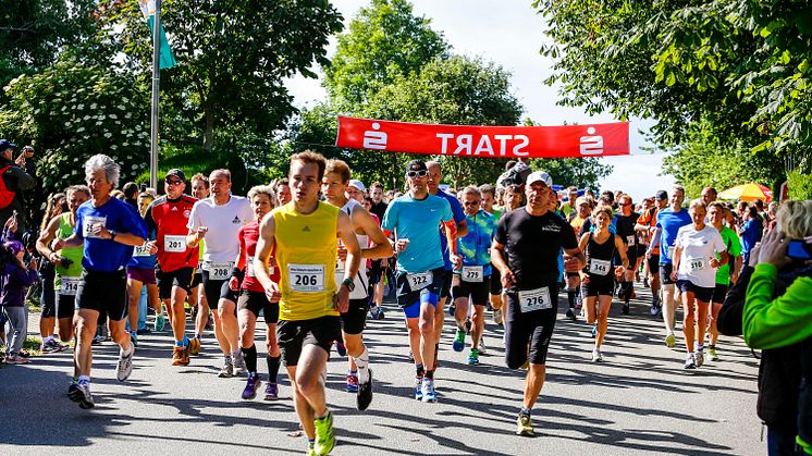Fehmarn Marathon © Fehmarn-Echo