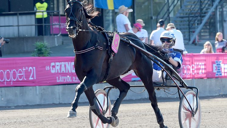 Very Kronos jagar revansch i i Hugo Åbergs Memorial. Foto: Lena Emmoth, TR Bild.
