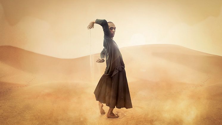 In Wind or Dust posterfoto