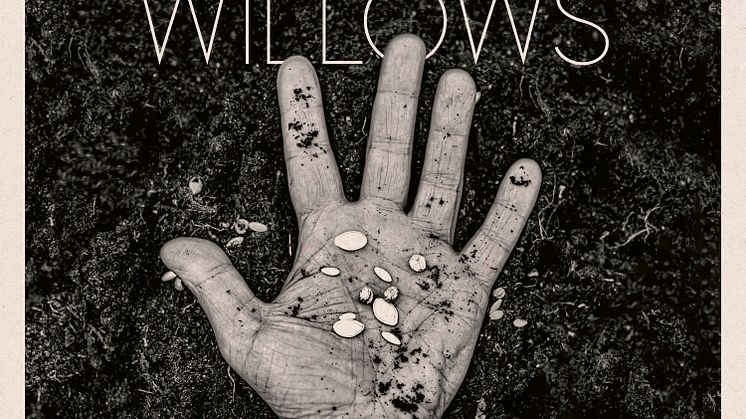 Omslag - Weeping Willows "The Dreams We Weave"