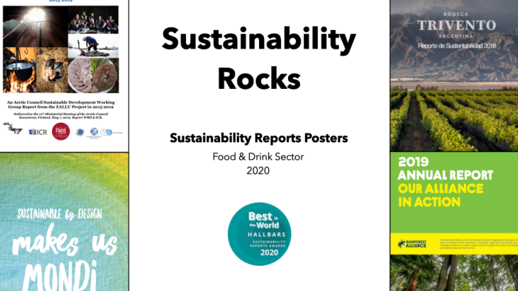 Sustainability Rocks