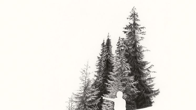 Pekar genom en tysk skog, 2002