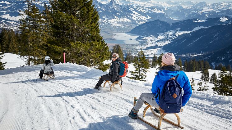 Schlitteln auf der Rigi 